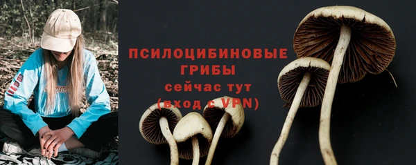 герыч Богородицк