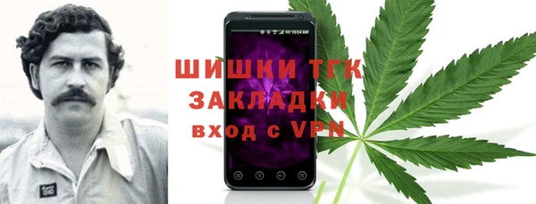 тгк Богданович