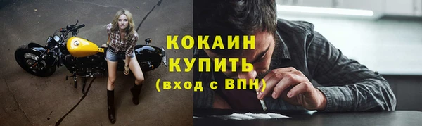 тгк Богданович