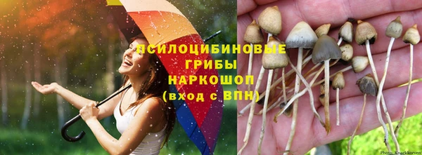 MESCALINE Богородск