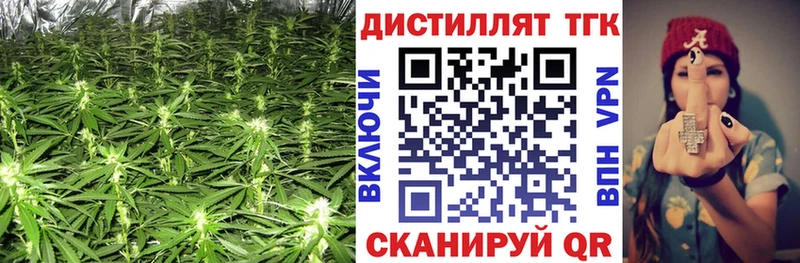 где купить наркотик  Шиханы  Дистиллят ТГК жижа 